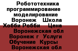 Робототехника,программирование, 3D моделирование . Воронеж.. Школа “Хобби Робби“ › Цена ­ 300 - Воронежская обл., Воронеж г. Услуги » Обучение. Курсы   . Воронежская обл.